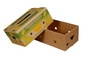 Fruit-Packaging-Box-manufacturer-2.jpg